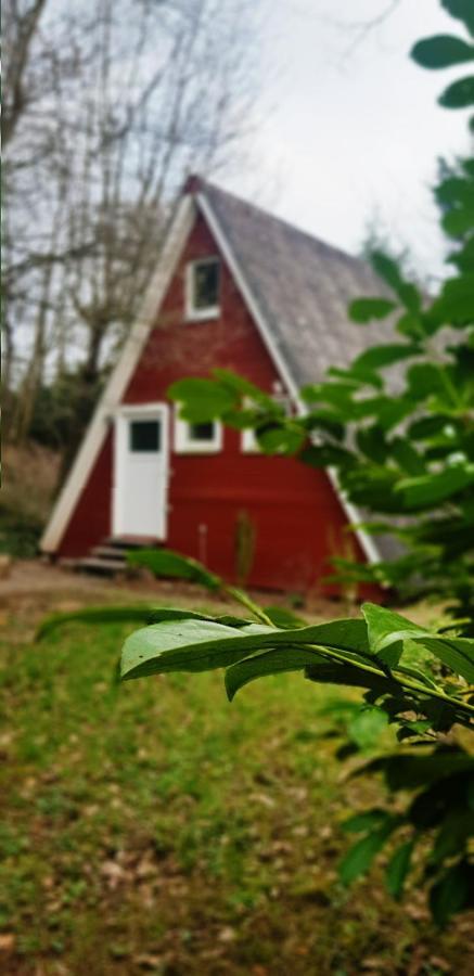 Ferienhaus Kleine Auszeit Gossersweiler-Stein Exterior foto